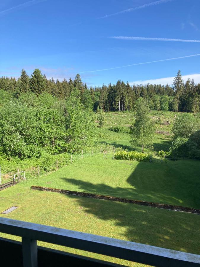 Hahnenklee Charme - Moderne Neue Ferienwohnung Mit 2 Balkons Goslar Zewnętrze zdjęcie